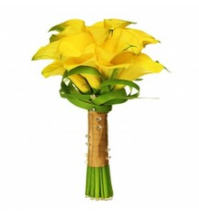 Buy Calla Lily Beauty for $ 105 at FloraUAE