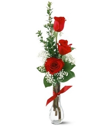 Buy Cute Surprise for $ 21 at FloraUAE